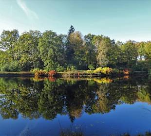 Herbstspaziergang durch den Schlosspark Lütetsburg