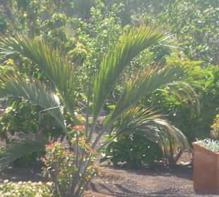Im Parque de Botanico (Innenbereich)