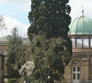 Staatlichen Kunsthalle: Hauptgebäude und Orangerie