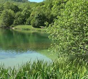 Unterer Gönninger See