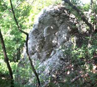 Premiumwanderweg "hochgelegen"