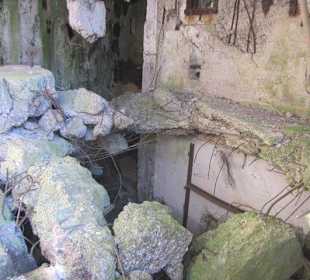 Mitten im Acker- leider offen