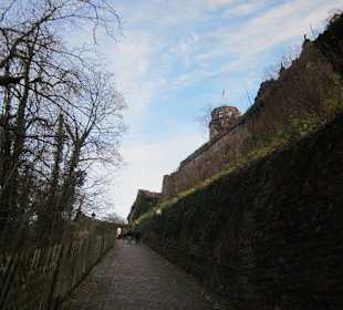 Schloss Heidelberg
