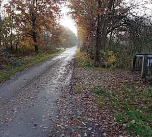 Vom Steg Richtung Wandererparkplatz 