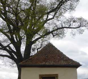 Bei der Gertraudis-Kapelle bei Gerolzhofen