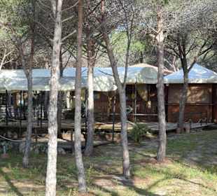 Strand-Restaurants im Schatten der Pineda