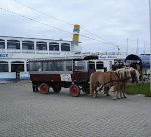 Kutschfahrt auf Hiddensee