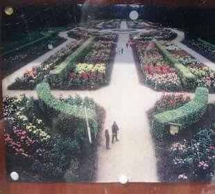 Übersicht des Gartens