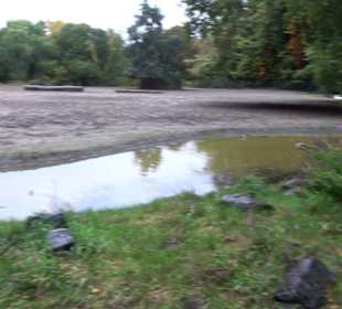 Tierpark