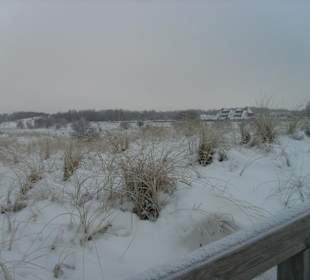 Blick über die Dünen