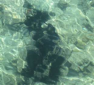 Steigenberger al Dau Beach Hotel