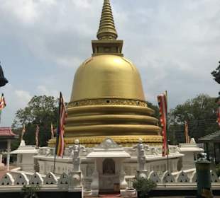 Mit Gayan in Dambulla