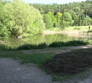 Kurpark Bad Niedernau