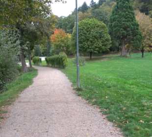 Baumkronenweg Waldkirch