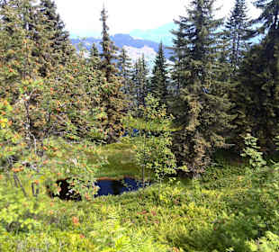 Genuss-Weg " Roßkopf"