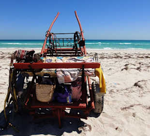 Badetag auf der Flamingoinsel zu Pferd/ zu Kutsche