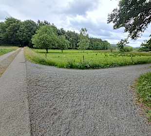 Kranichwoog Hütschenhausen in Hütschenhausen