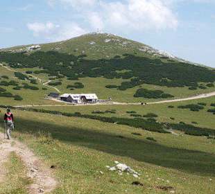 Blick zum Damböckhaus
