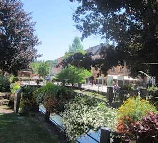 Niederbronn les Bains