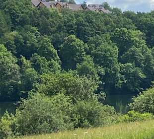 Wandern Kronenburg 