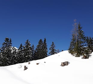 Traumhafte Winterlandschaft