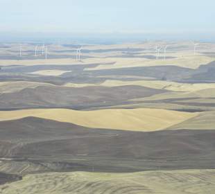 The Palouse