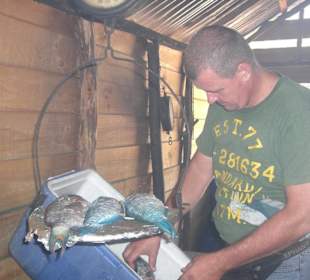 Andreas unser Tour-Guide beim Fisch aussuchen