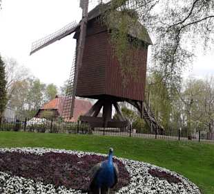 Weltvogelpark Walsrode