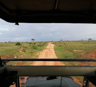 Alles gut zu beobachten, sonnengeschützen Dach
