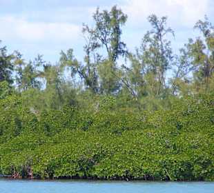 Am Rand der kleinen Insel