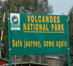 Volcano National Park