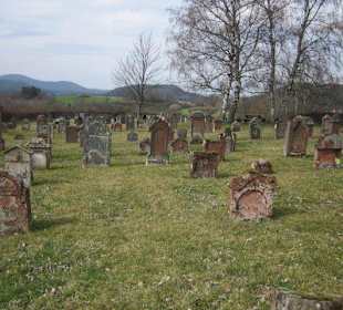Der Jüdische Friedhof in Busenberg