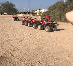 Quad Tour Safaga