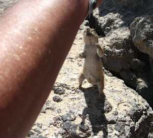 Give me more. Schwer gefrässig aber super süß!