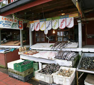 Im Fischerhafen von Puerto Montt