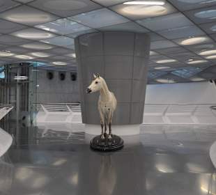 Начало экспозиции