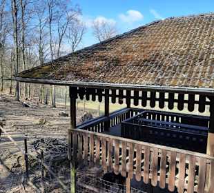 Wild- & Erlebnispark Daun 