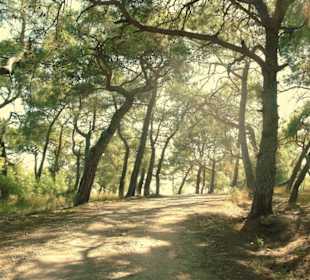 Wanderweg um Seleukia - Wandern mit Ömer