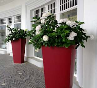 Kurparklhalle Kurpark