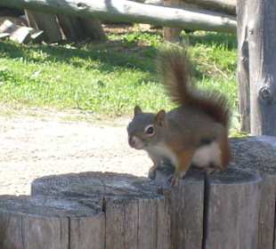 Sainte-Marie among the Hurons - Midland