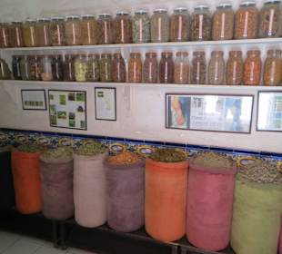 Unterwegs in der Altstadt von Marrakesch