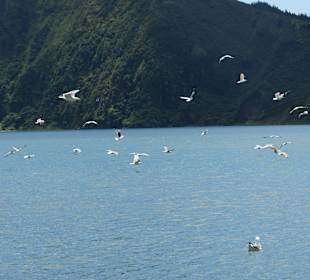 Lagoa do Fogo