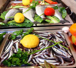 Fresh Fish