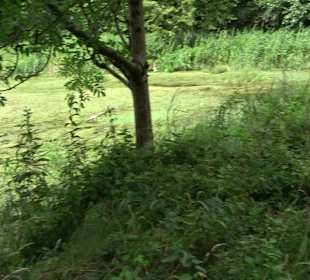 Naturschutzgebiet Braunsel