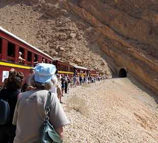 Lezard Rouge in der Seldja-Schlucht