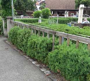 Kunst- und Sinnespfad