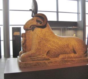  Ägypten / Roemer- und Pelizaeus-Museum
