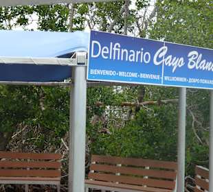 Delfinarium Cayo Blanco