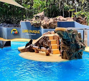 Loro Parque 