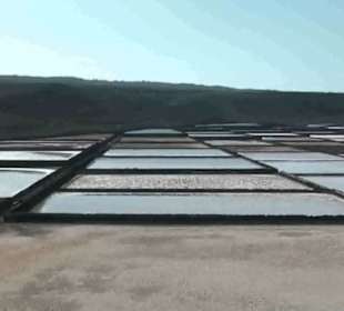 Salinas de Janubio